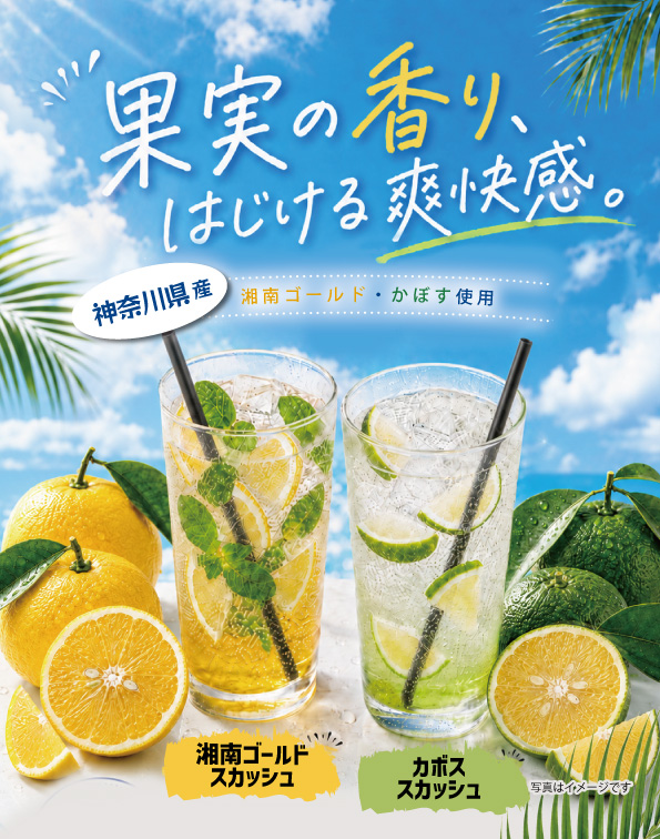 湘南ゴールドスカッシュ